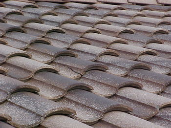 Έκλεβε… στέγη στάβλου