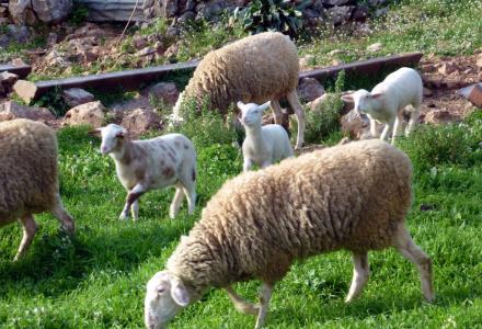 Πάνω από 50% ευστοχία