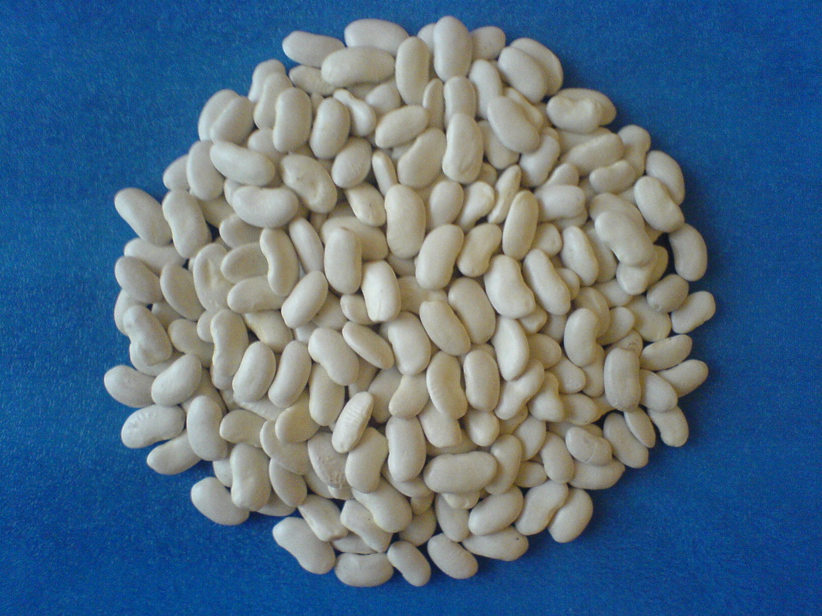 Κινέζικα φασόλια Πρεσπών