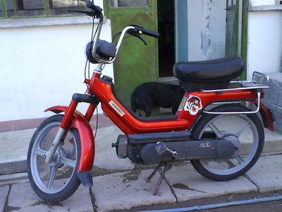 Πήγαιναν γυρεύοντας