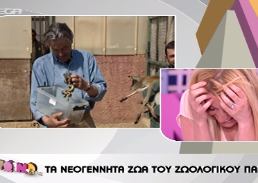 Θα κλάψετε από τα γέλια!