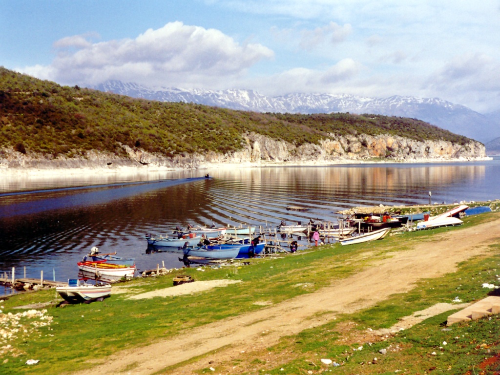 Νεκρά ζώα στις Πρέσπες