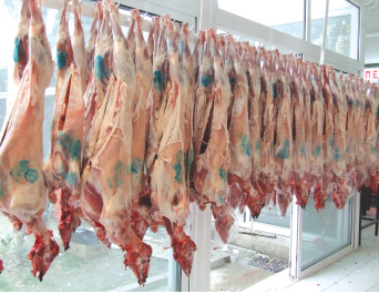 Το αρνάκι ακολουθεί την πατάτα