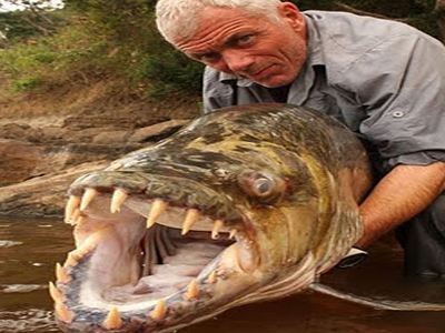 Τι έπιασε ο άνθρωπος!