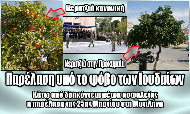 Κούρεψαν τις νεραντζιές