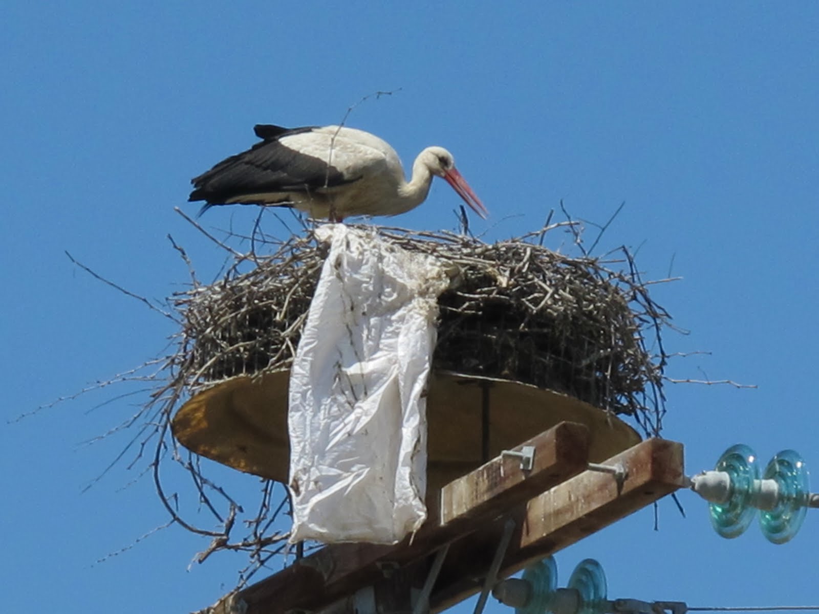 ΔΕΗ: Επιχείρηση “Πελαργός”