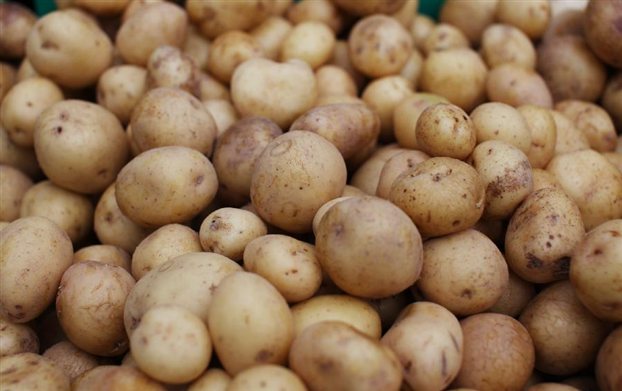 Πατάτες σε Δάφνη και Υμηττό