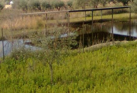 Στη λάσπη ο πολιτισμός μας