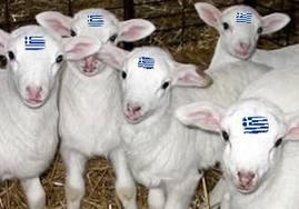 Τα αρνιά συναντούν τις…πατάτες