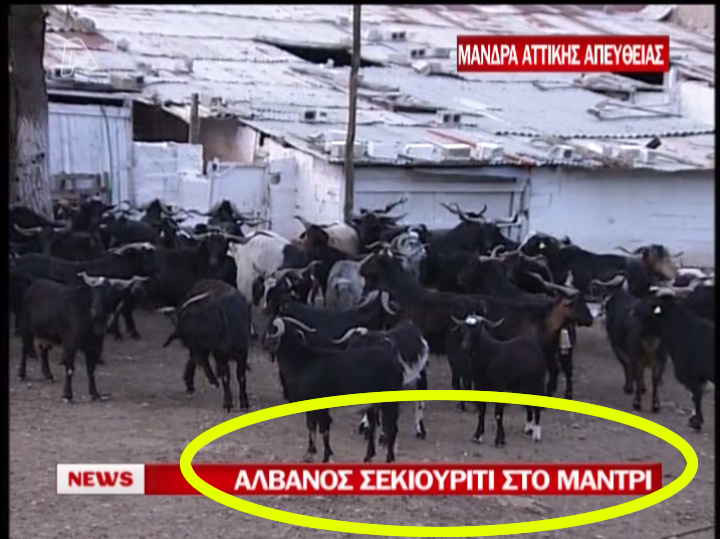 Ο τίτλος της ημέρας!