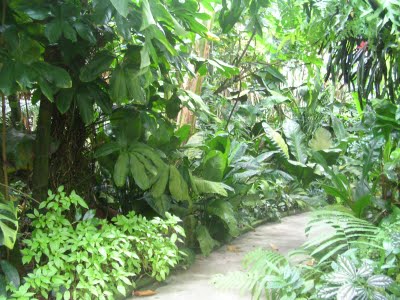 Ησυχία, ενοχλείτε τα φυτά