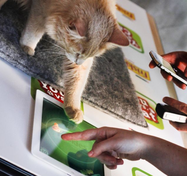 Παίξτε εναντίον της γάτας σας