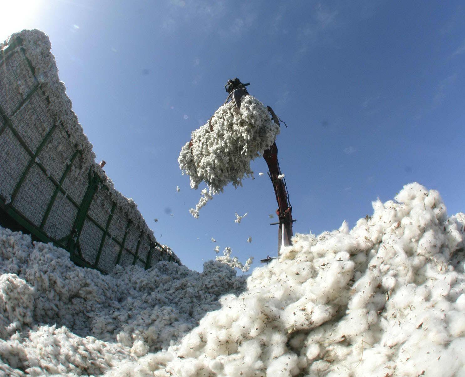 Απλήρωτοι οι βαμβακοπαραγωγοί