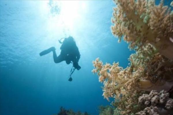 H Google στο …βυθό