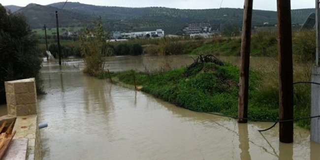 Ο Δρακουλιάρης βγάζει… δόντια
