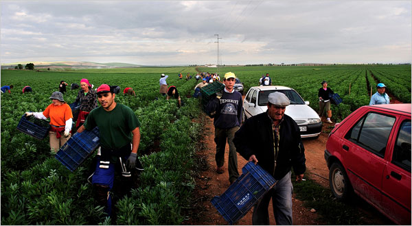 Εκεί θέλω να ζήσω!