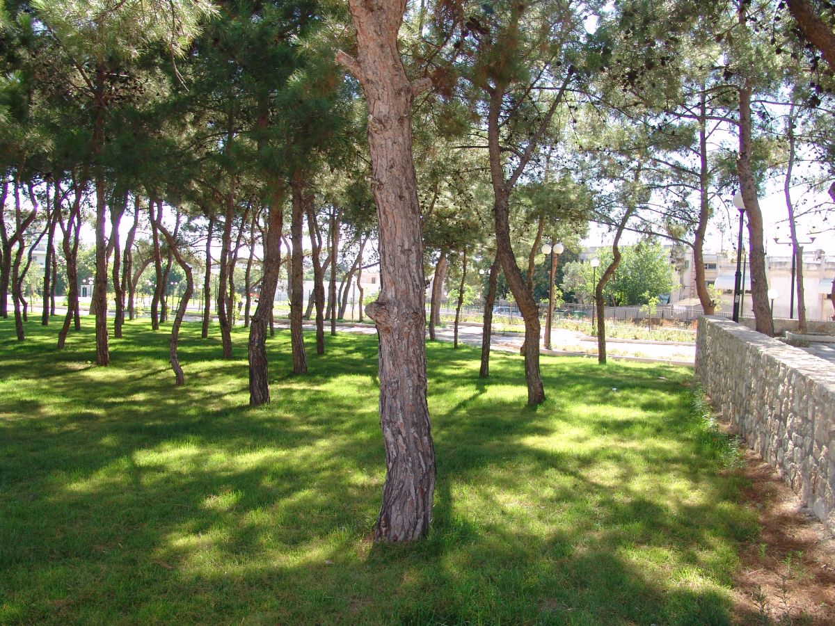 “Ποτισμένο” με ηρωίνη