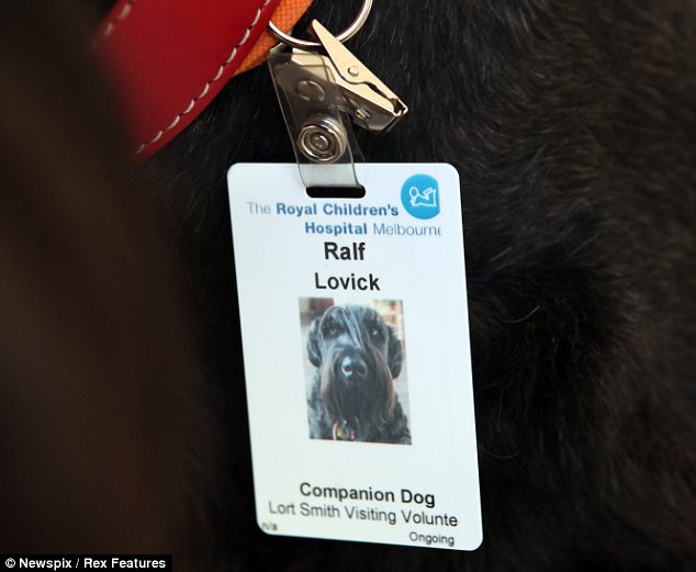 Σκύλος…νοσοκόμος!