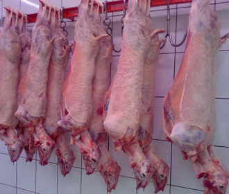 Κίνημα …Ανωγειανού αρνιού