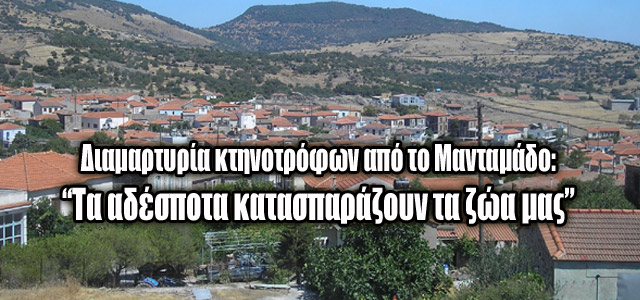 Kαταγγελία-σοκ