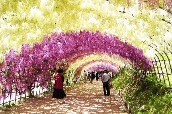 Το τούνελ του …παραδείσου