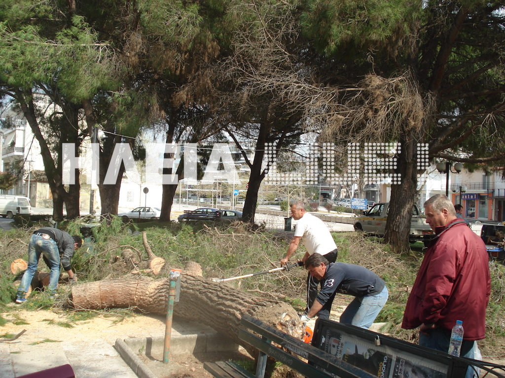 Δέντρο καταπλάκωσε μαθήτριες