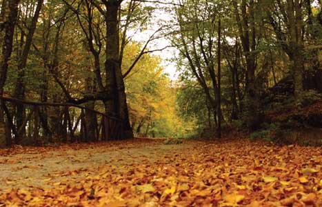 Τώρα-Συναγερμός στα Πιέρια Όρη