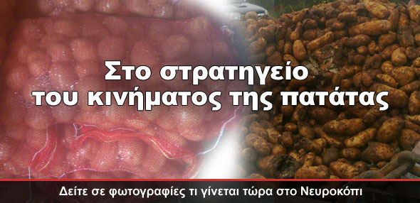 Στο στρατηγείο της πατάτας