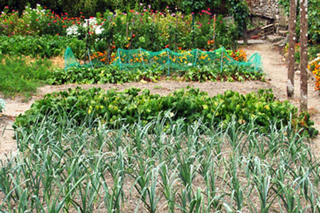 Ο λαχανόκηπος του …Δήμου!