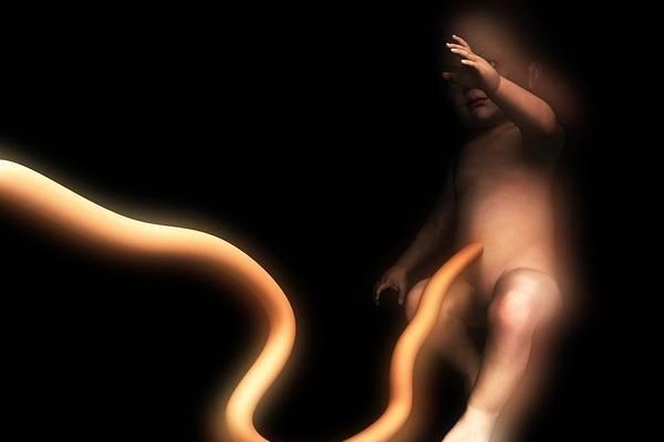 Η κρίση είναι γένος θηλυκού