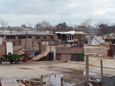 Είχαν ρημάξει πτηνοτροφική μονάδα