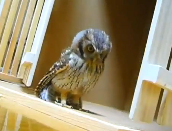 Ο αόρατος εχθρός!