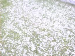 Τώρα-Χαλάζι στα Πατήσια