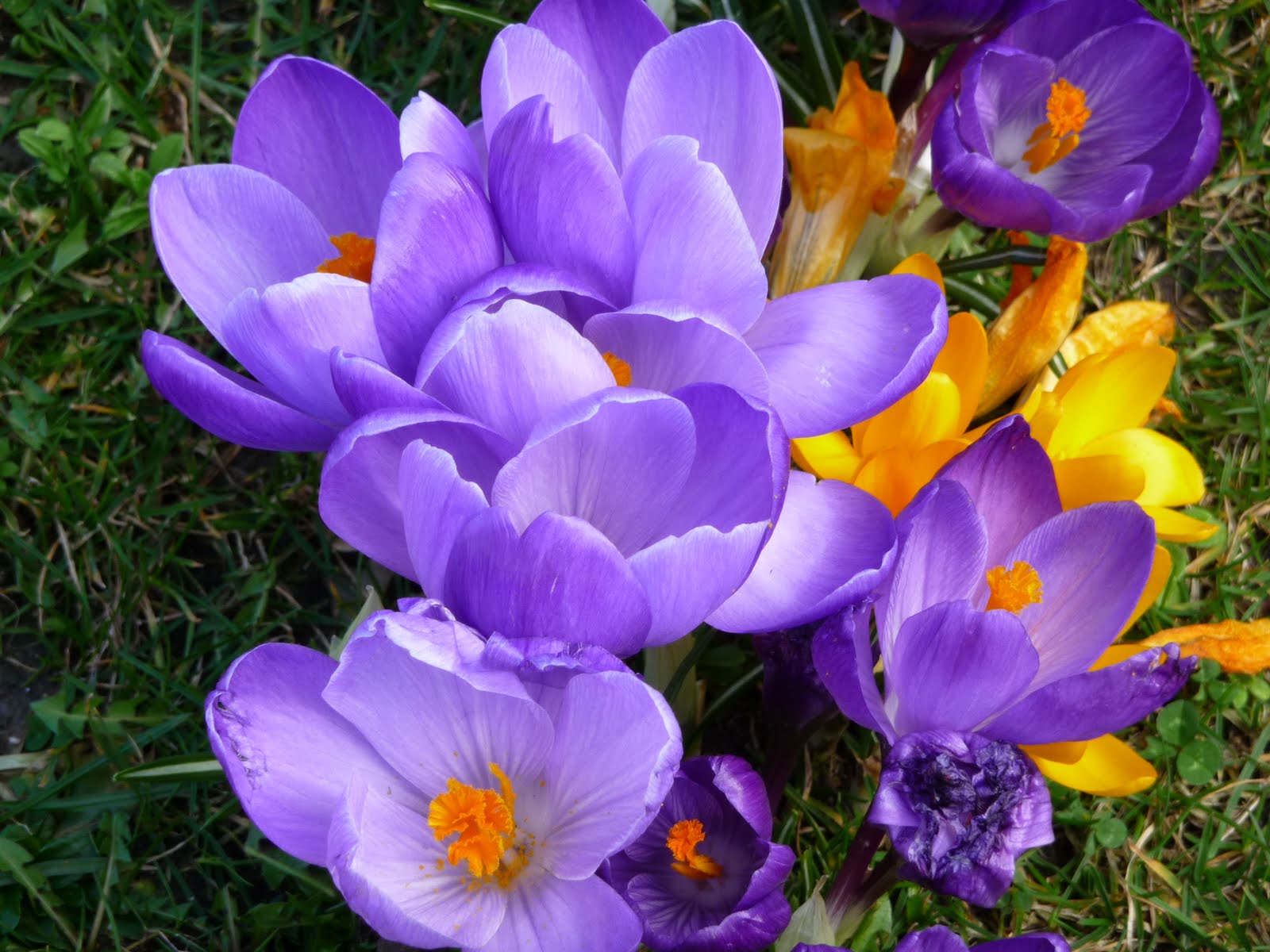 Υπάρχουν (ακόμα) κι αυτοί…