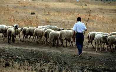 Βγήκαν «μαχαίρια» για τον οβελία