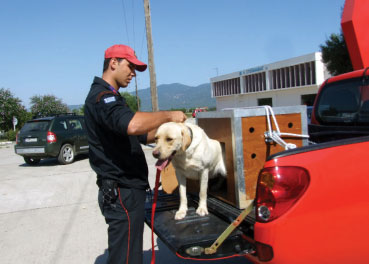 Συνεχίζονται οι έρευνες
