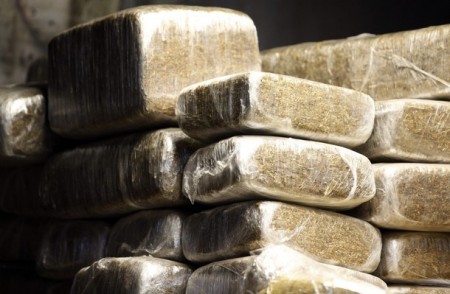 Είχε μύτη ο σκύλος…