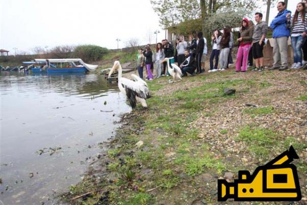 Ελεύθεροι σε φιλικά νερά