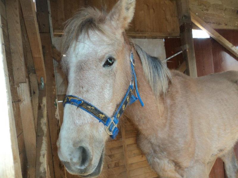 Μία συγκινητική ιστορία