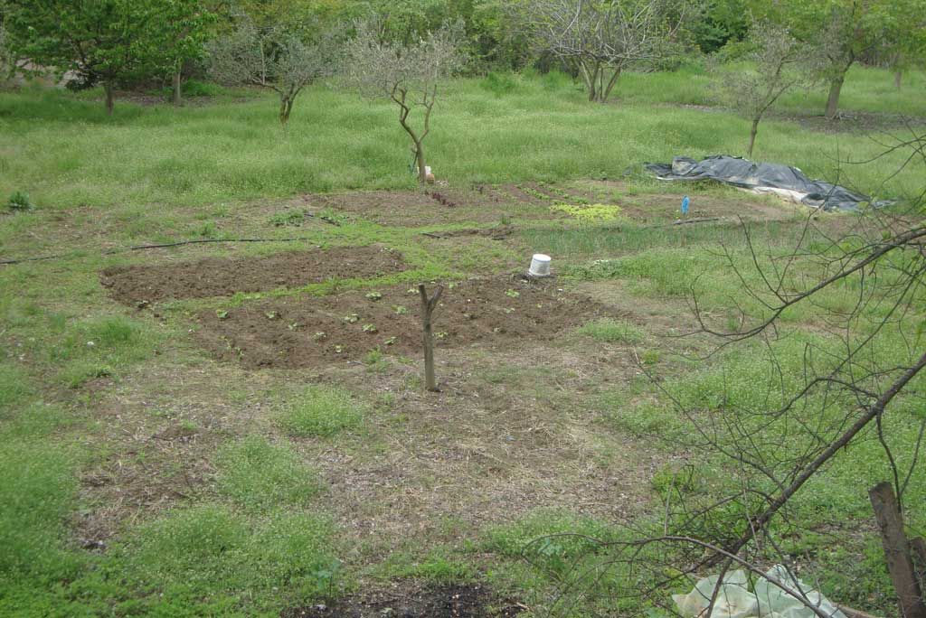 Έφτιαξε κήπο στο άλσος!