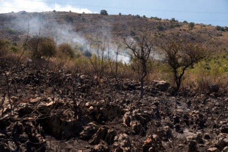 Φωτιά στο Λασίθι