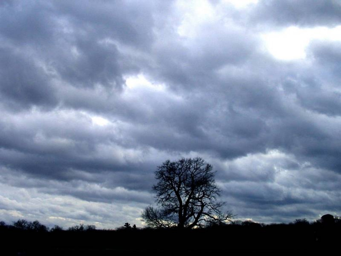 Τους πήρε και τους σήκωσε…
