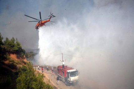 Τούρκοι στα δάση μας;