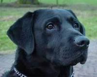 Ένας αληθινός φίλος