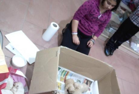 Πέταξαν κουτάβια στα σκουπίδια