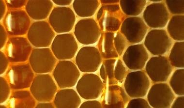 Οι μέλισσες έκαναν..φτερά