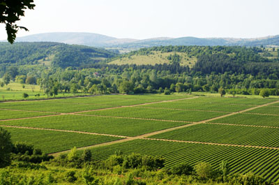 Τους τσάκωσε το…ΣΔΟΕ