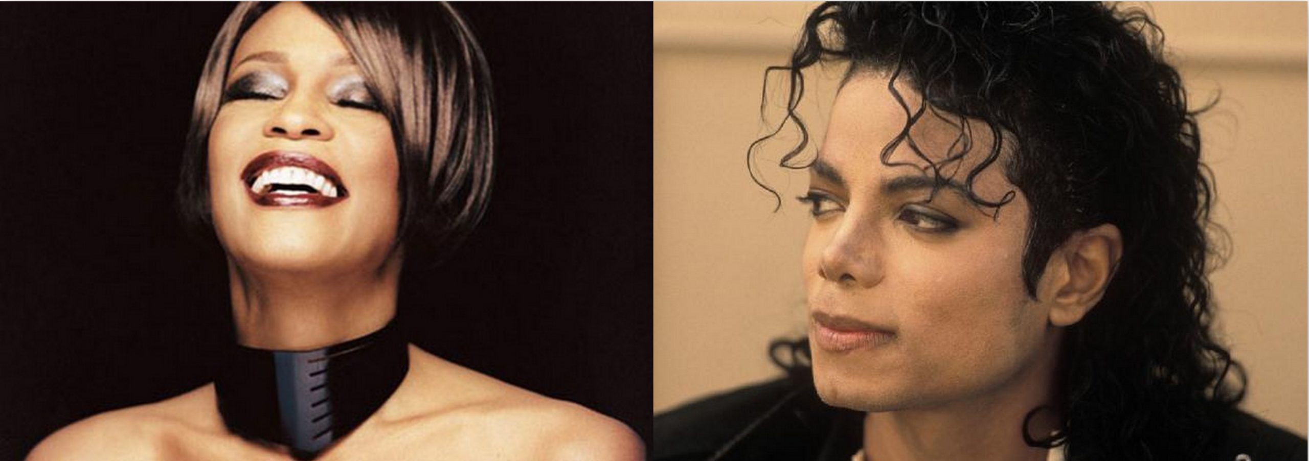 Ήθελε να παντρευτεί τη Whitney!