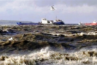 Νεοζηλανδοί κυνηγούν Έλληνες