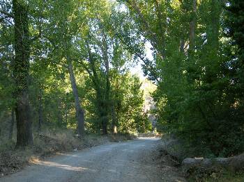 “Χρειαζόμαστε λεφτά για τα δάση”